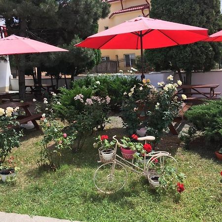 Hotel Pensiunea Acf Tineretului Costinesti Zewnętrze zdjęcie